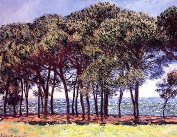 尅勞德 莫奈 Pine Trees, Cap d'Antibes